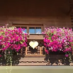 Haus Am Wiesbach Appartamento *